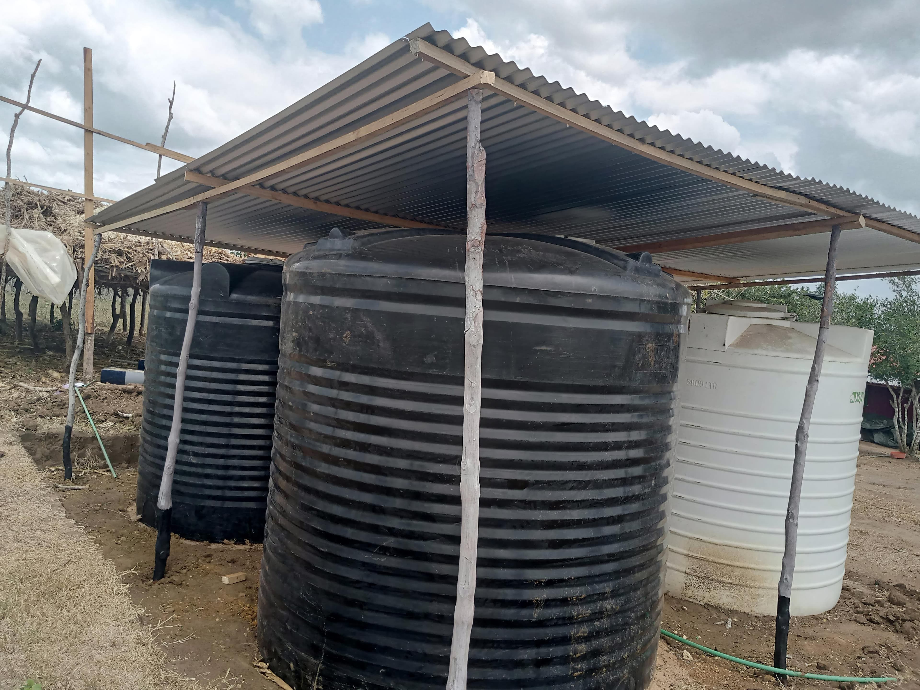 Safe water & WASH in schools